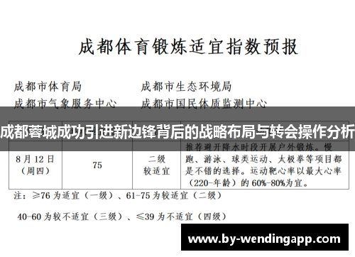 成都蓉城成功引进新边锋背后的战略布局与转会操作分析