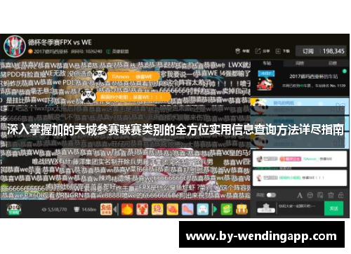 深入掌握加的夫城参赛联赛类别的全方位实用信息查询方法详尽指南