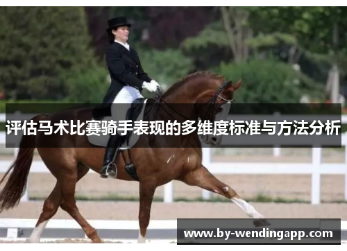 评估马术比赛骑手表现的多维度标准与方法分析