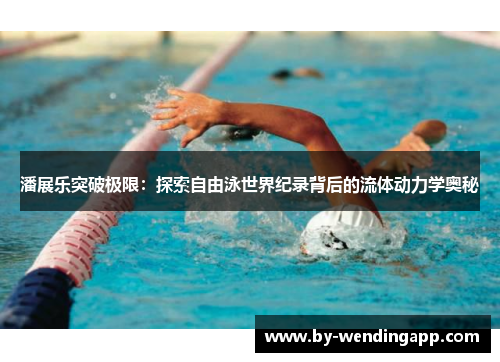 潘展乐突破极限：探索自由泳世界纪录背后的流体动力学奥秘